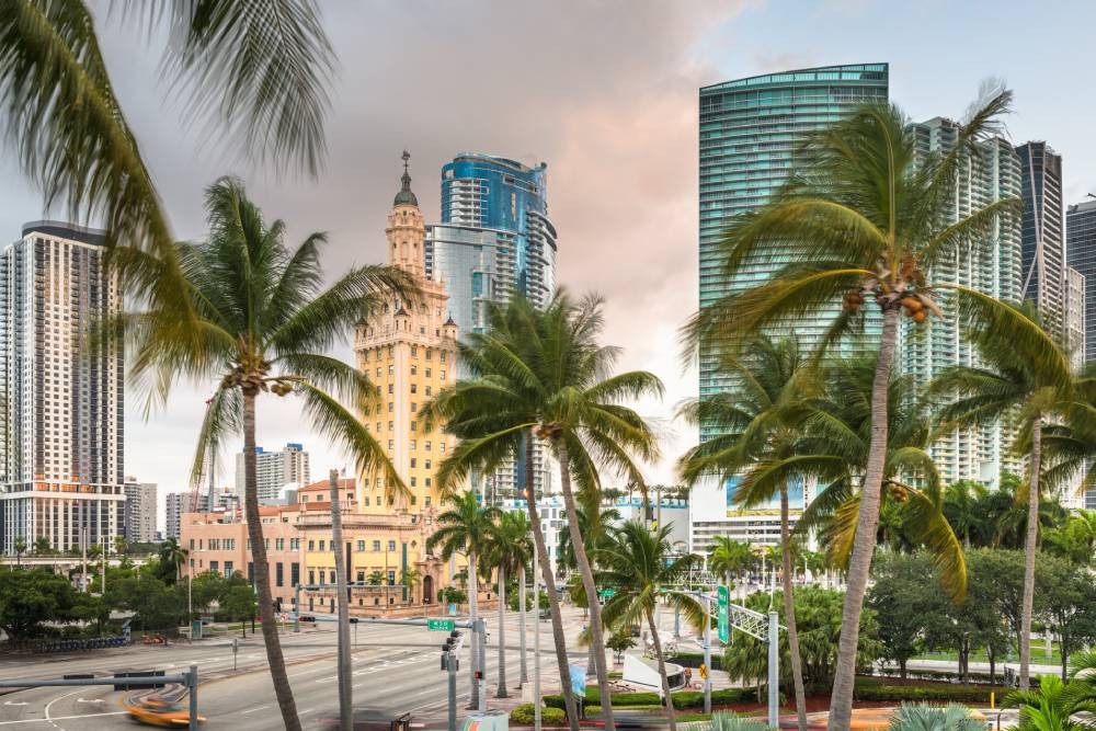 Miami, FL cityscape, where Fine Shadings & Decor's Hunter Douglas window treatment resides, with palm trees
